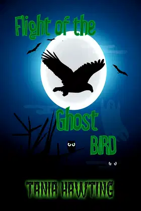 Flight of The Ghost Bird poster
