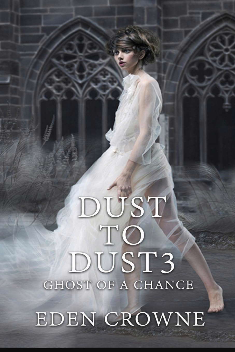 Dust To Dust 3: Ghost of a Chance (Volume 3) poster