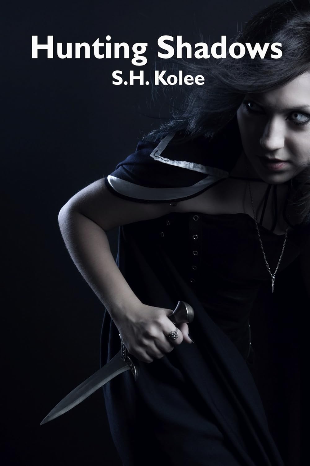 Hunting Shadows (Shadow Series Book 3) poster