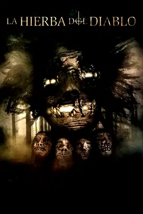 La Hierba del Diablo poster