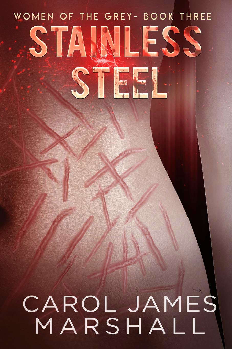 Stainless Steel (Women of The Grey) poster