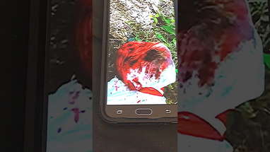 The Torture Memos “frantic call” trailer poster