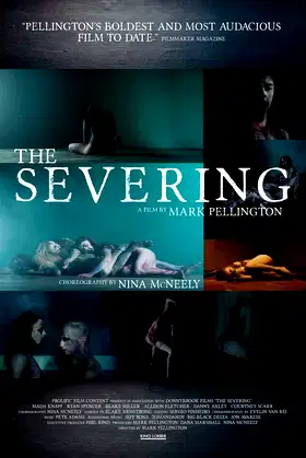 The Severing poster
