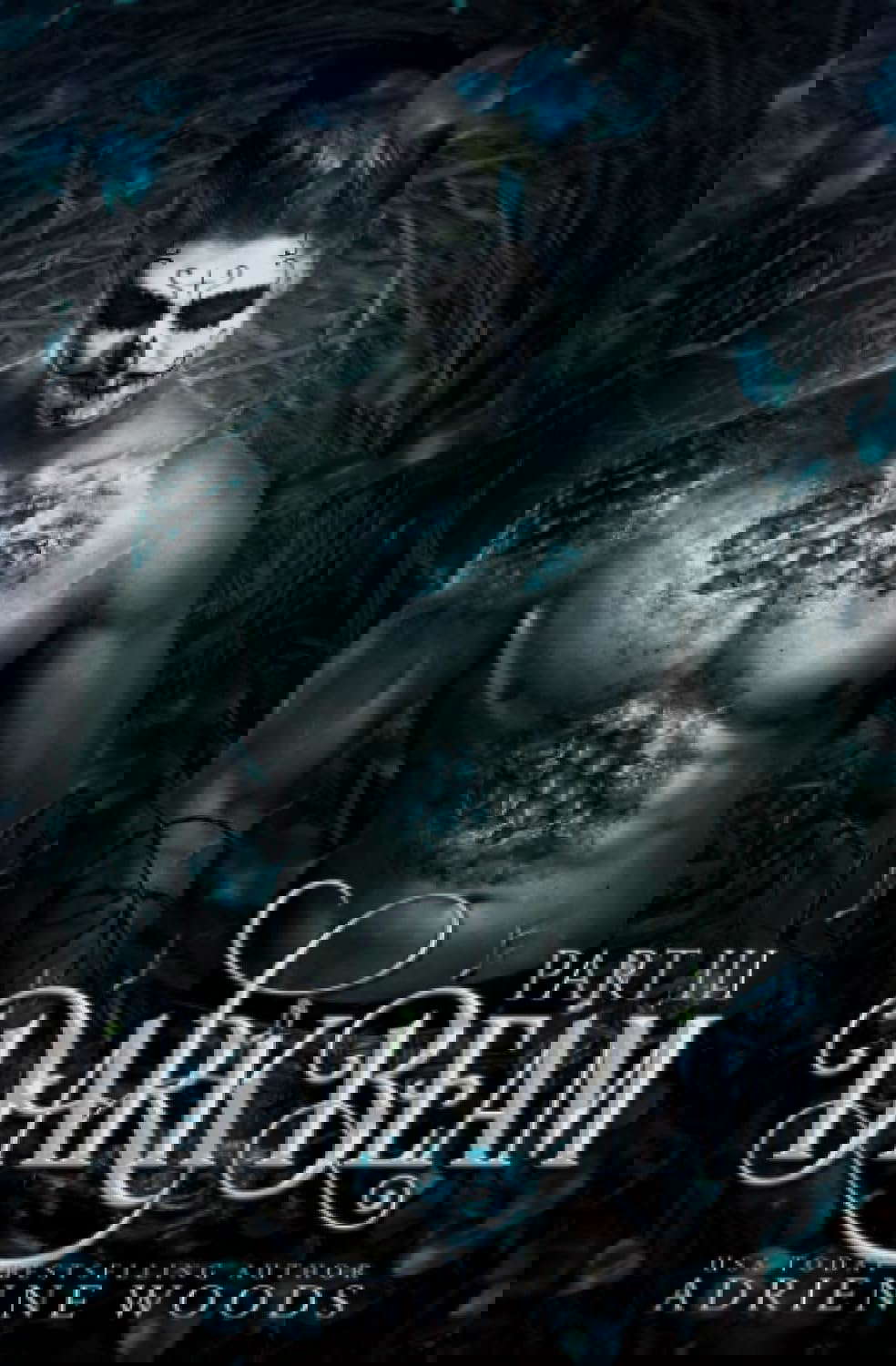 Darkbeam Part III: A Dragonian Series Novel: The Rubicon's Story poster