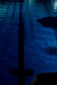 Pool Shark poster