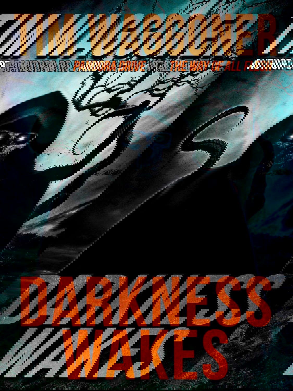 Darkness Wakes poster