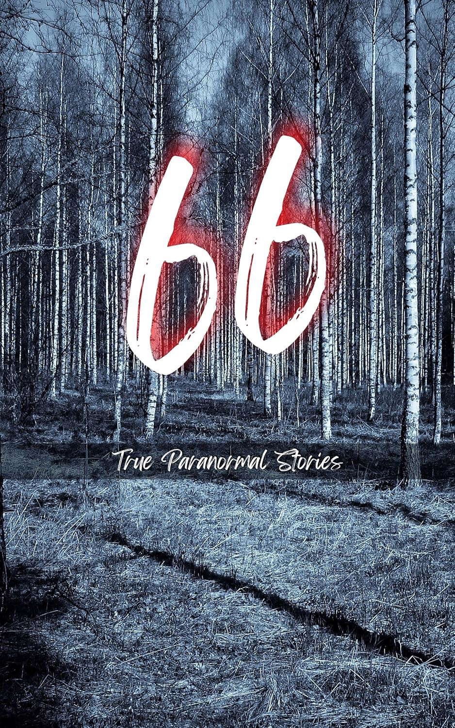 66 True Paranormal Stories: True Scary Stories to Tell in The Dark poster