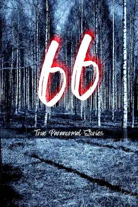 66 True Paranormal Stories: True Scary Stories to Tell in The Dark poster