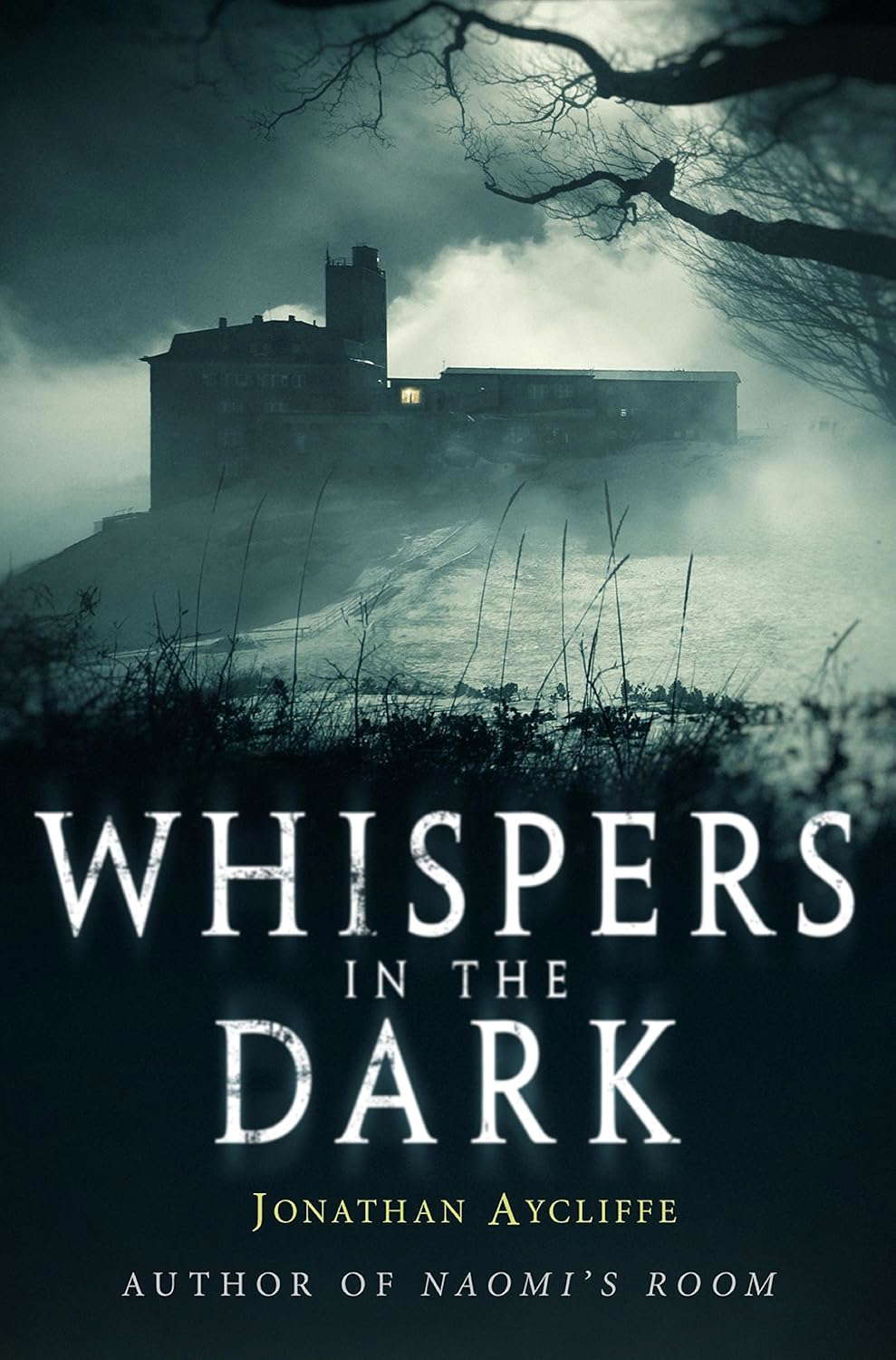 Whispers In The Dark poster