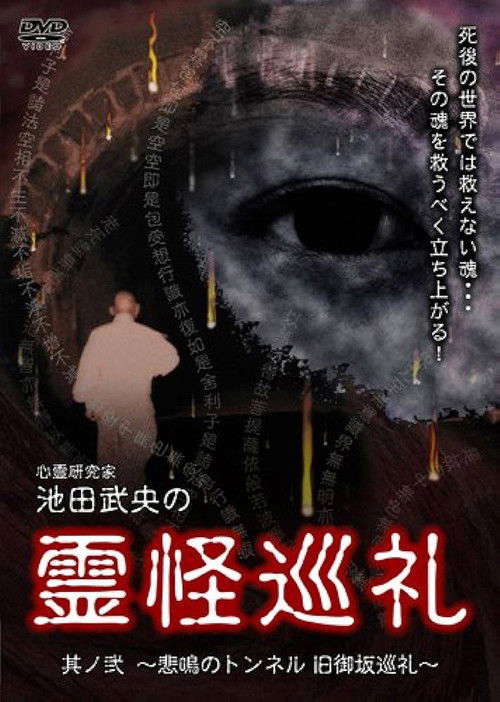 Shinrei Kenkyūka Ikeda Takeo no Reikai Junrei Sono Ni: Himei no Tonneru Kyū Misaka Junrei poster