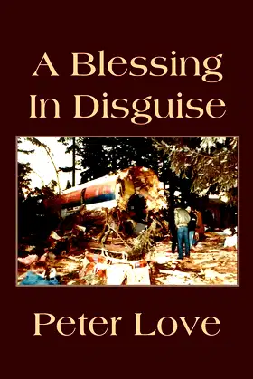 A Blessing In Disguise poster