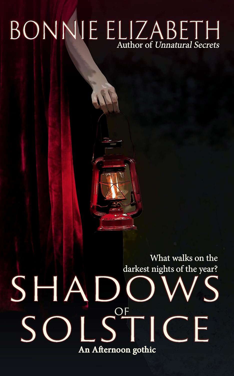 Shadows of Solstice (Afternoon Gothics) poster