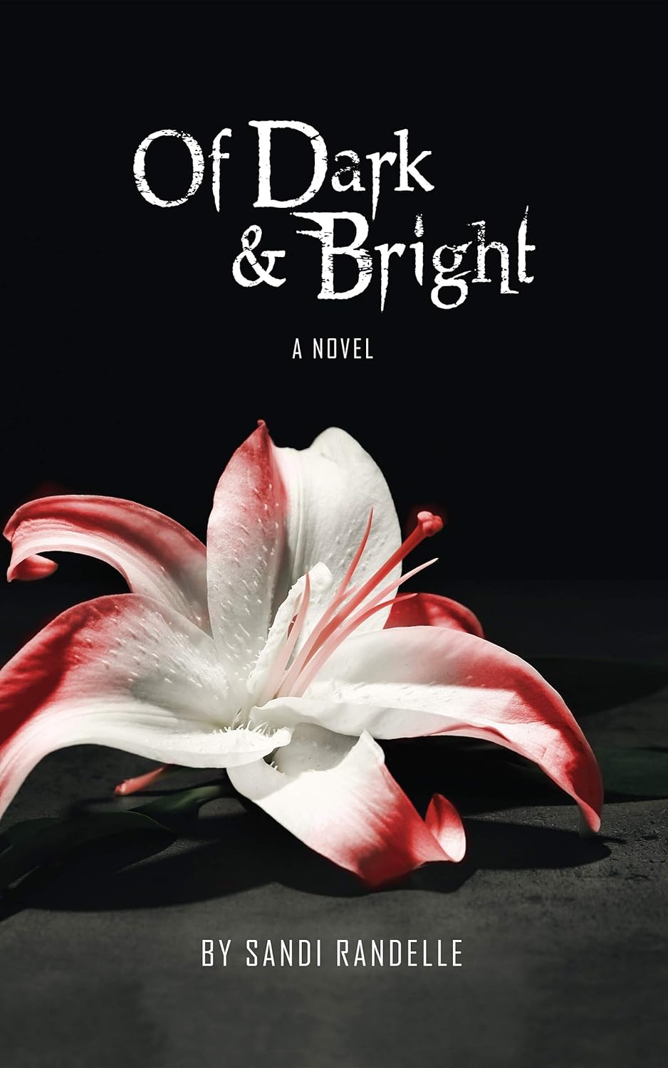 Of Dark & Bright: Of Blood & Consequences Book 2 poster
