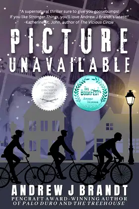 Picture Unavailable: A Young Adult Supernatural Mystery poster
