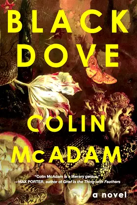 Black Dove poster
