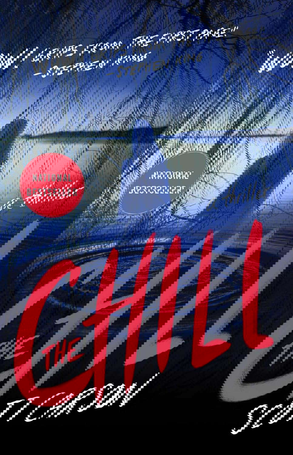 The Chill: A Novel poster