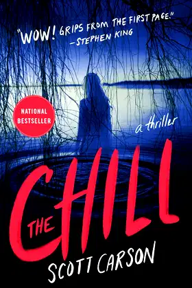 The Chill: A Novel poster