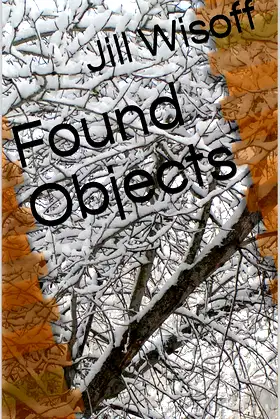 Found Objects poster