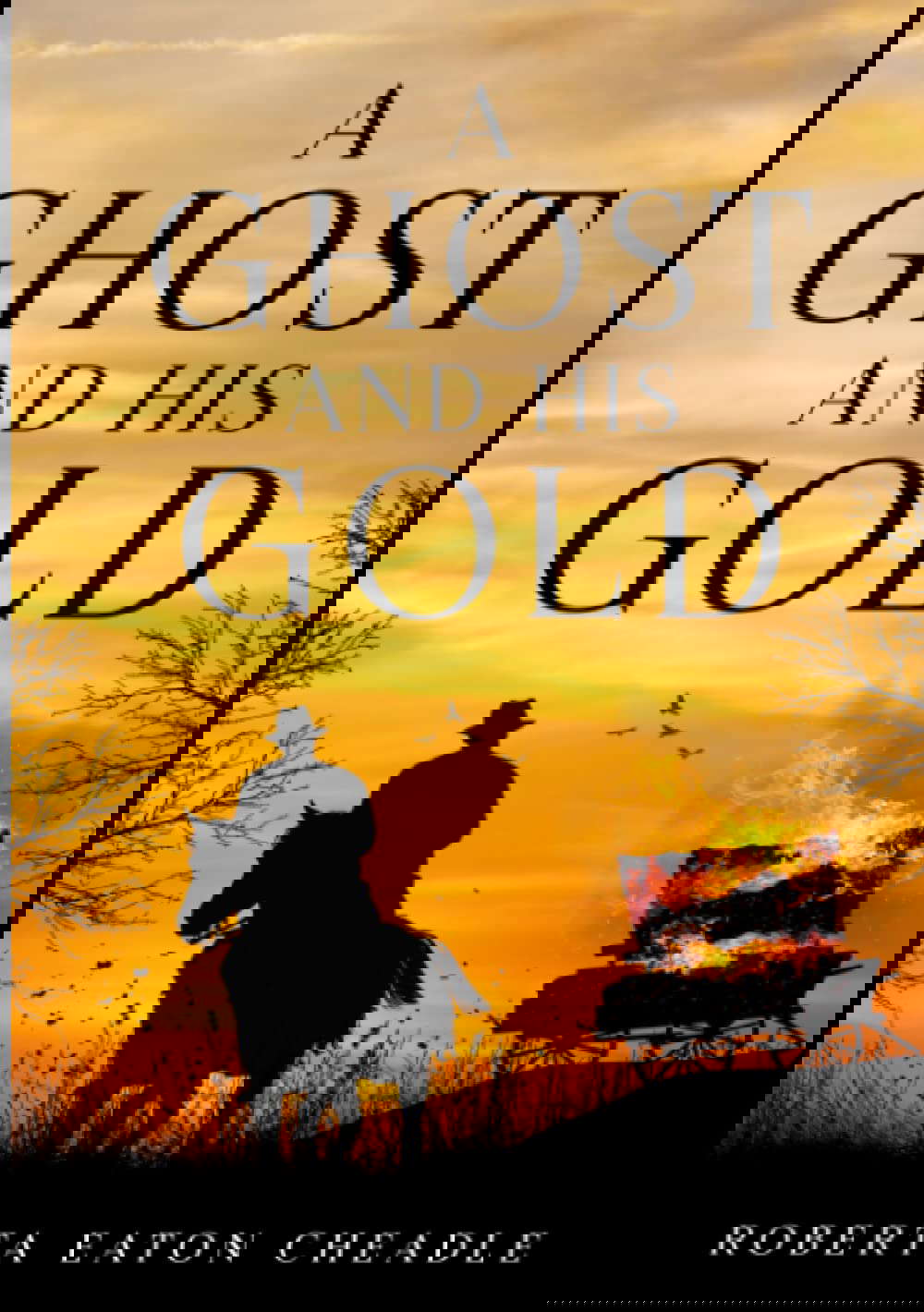 A Ghost and His Gold poster