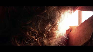 Feast II: Sloppy Seconds - Trailer poster