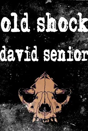 Old Shock poster
