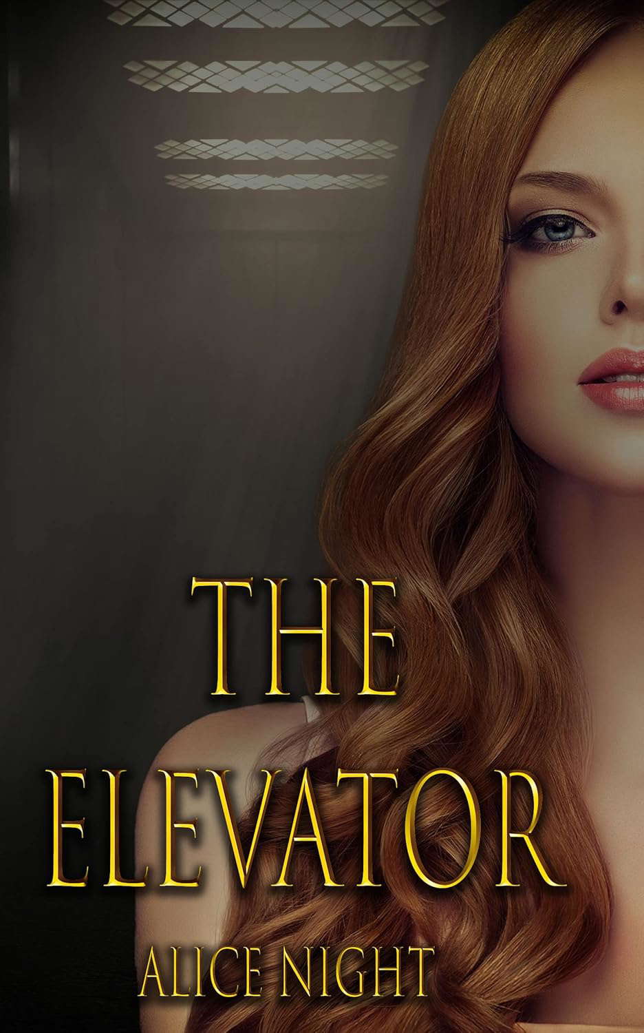 The Elevator poster
