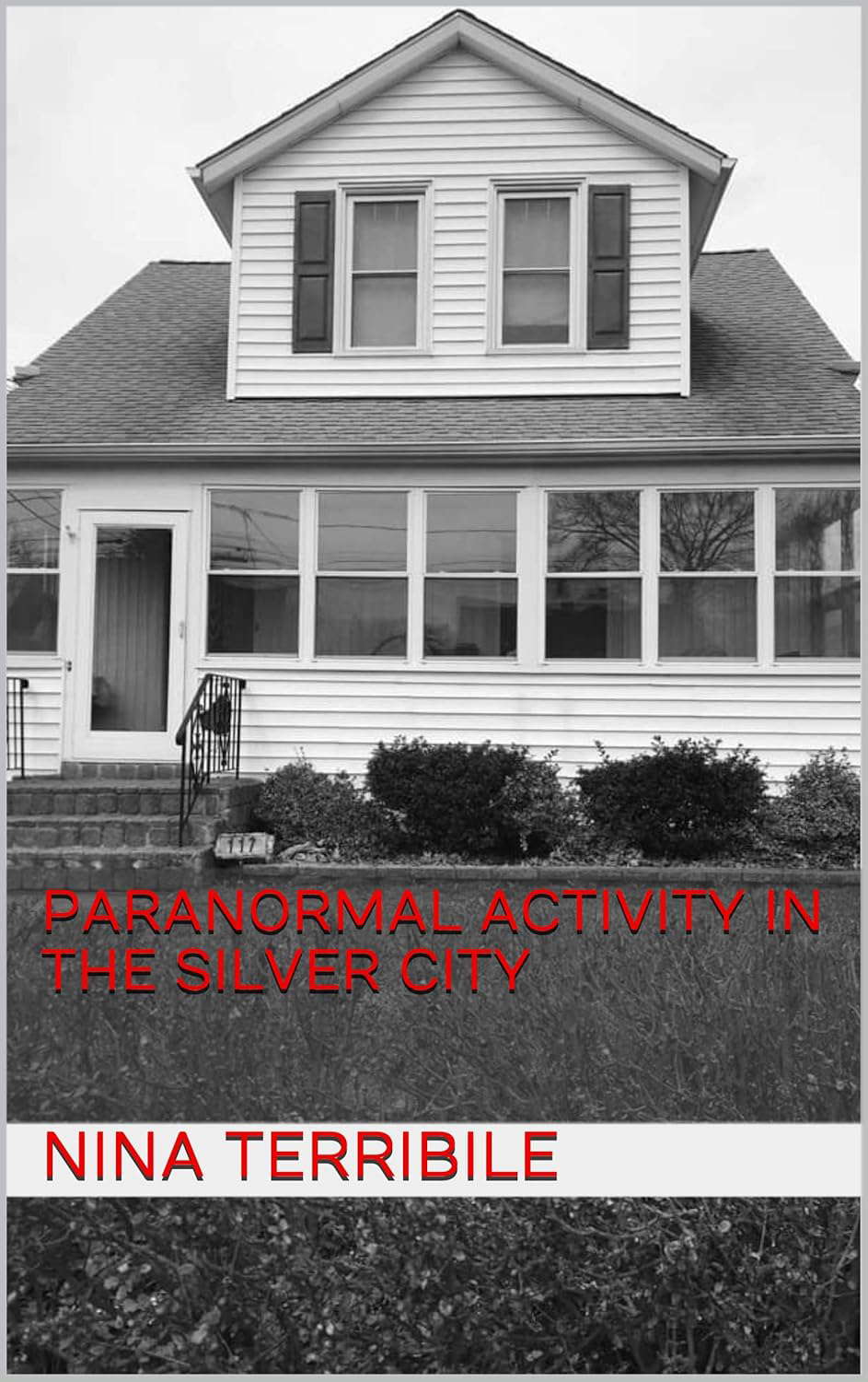 Paranormal Activity in the Silver City poster