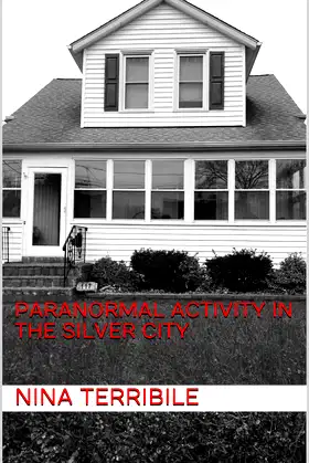 Paranormal Activity in the Silver City poster