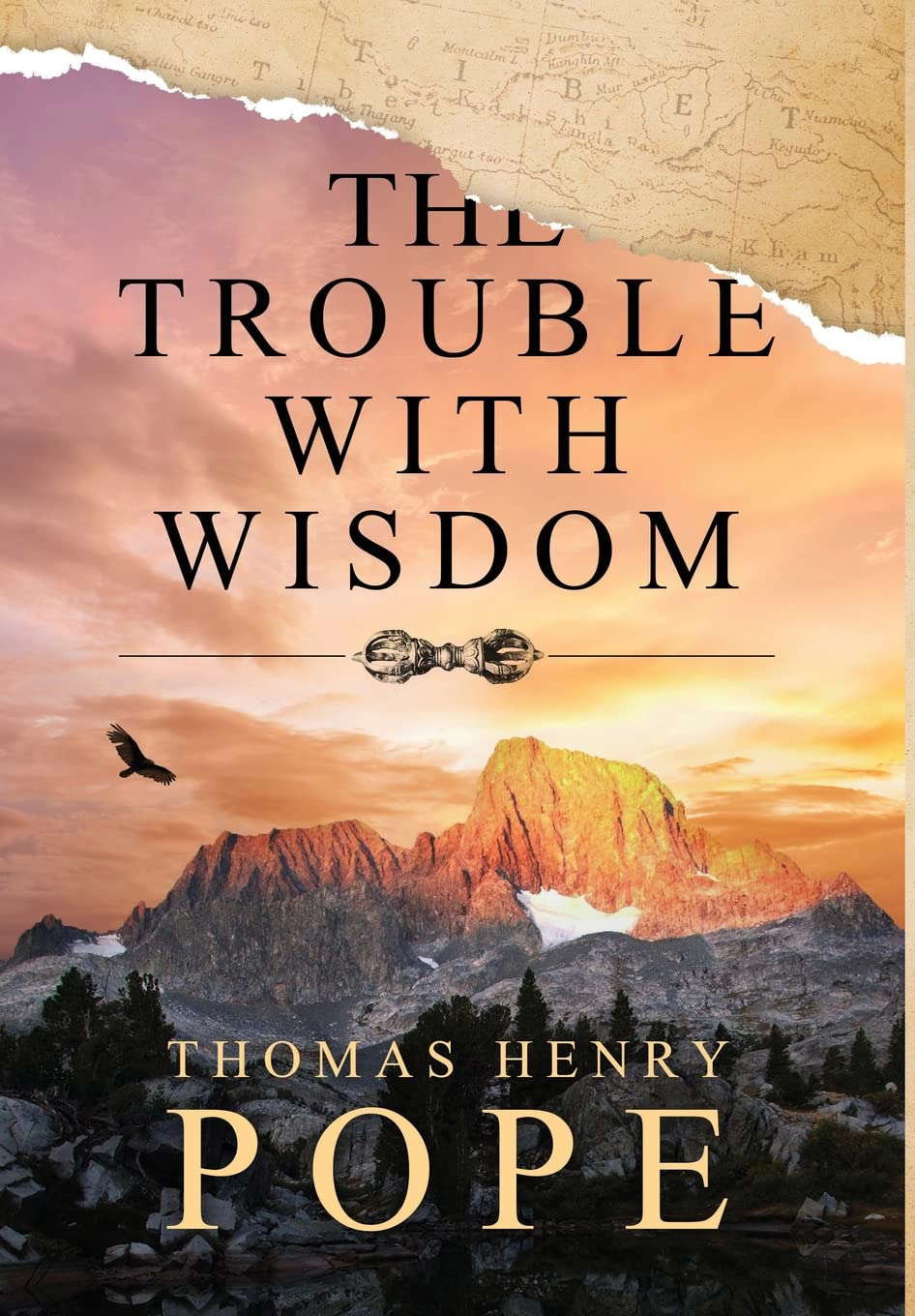 The Trouble With Wisdom poster