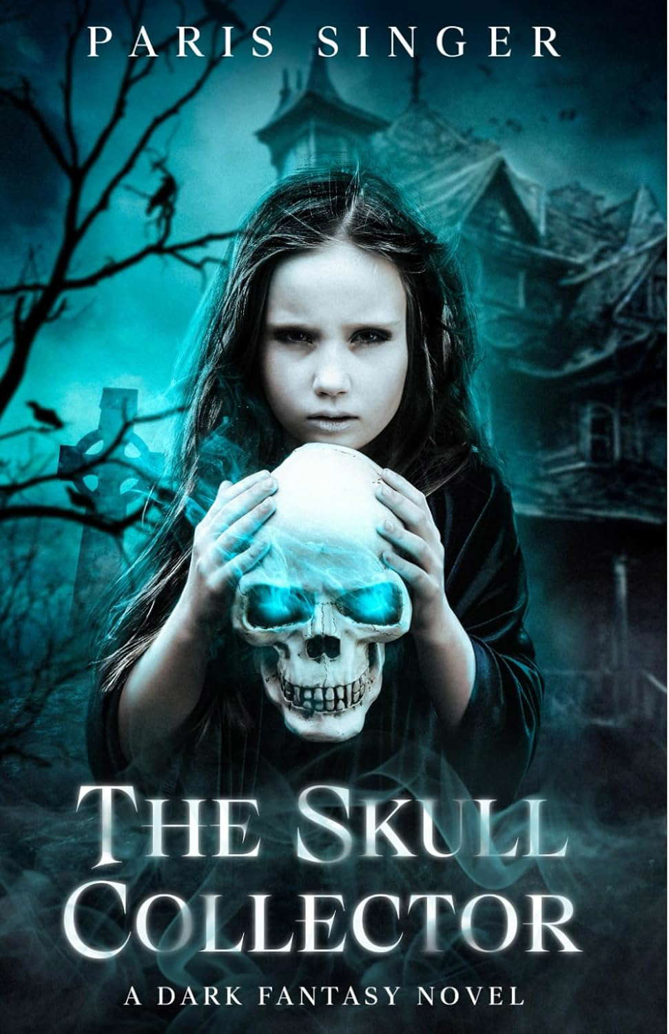 The Skull Collector poster