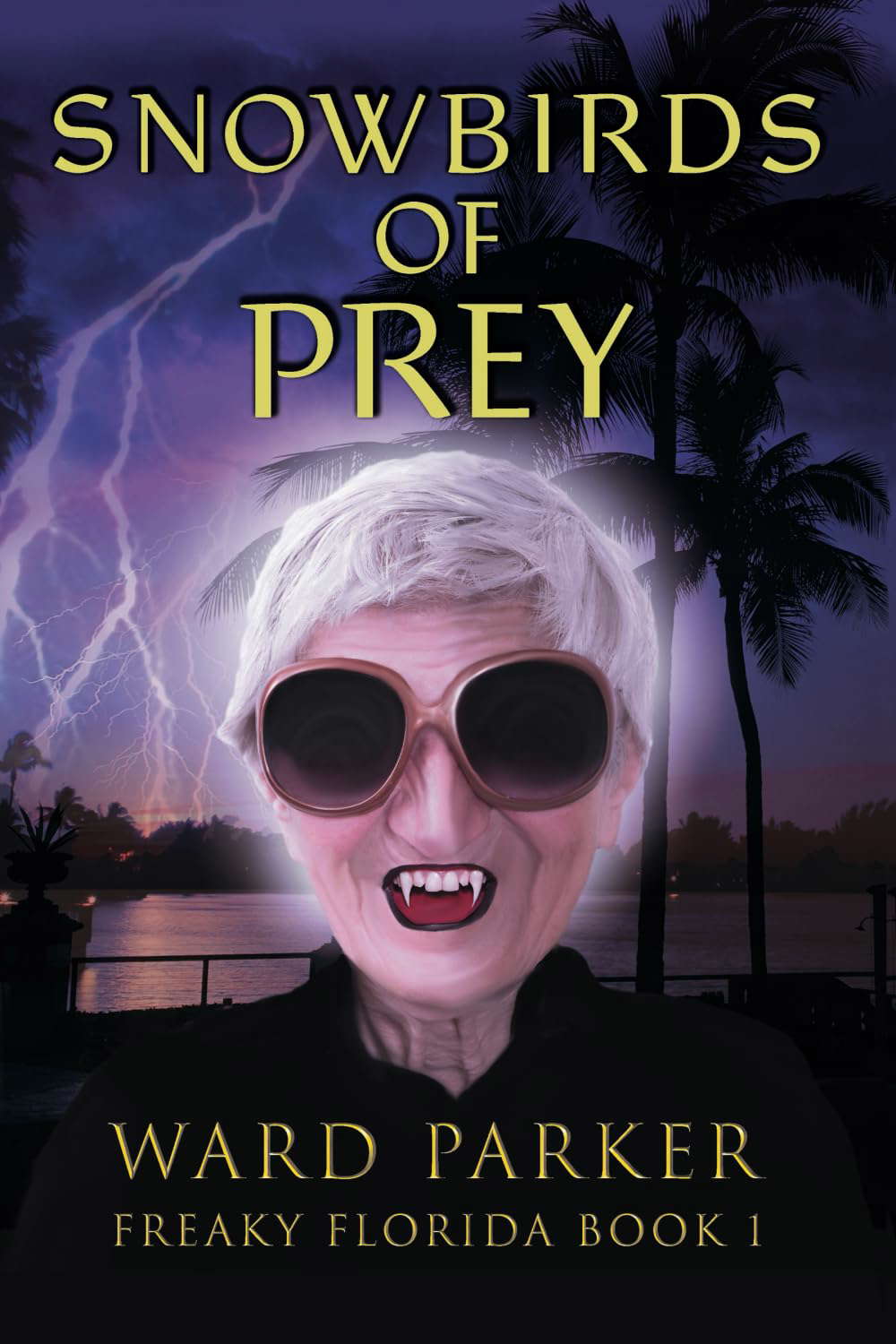 SNOWBIRDS OF PREY (Freaky Florida) poster