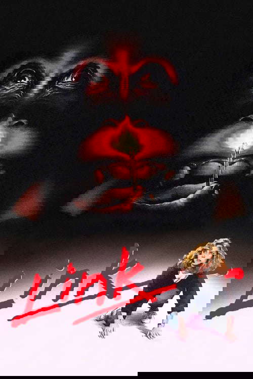 Link poster