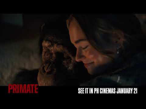 They thought he was family… they were wrong. #PrimateMovie — in PH cinemas JAN 21. Get tickets now!
