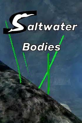 Saltwater Bodies poster