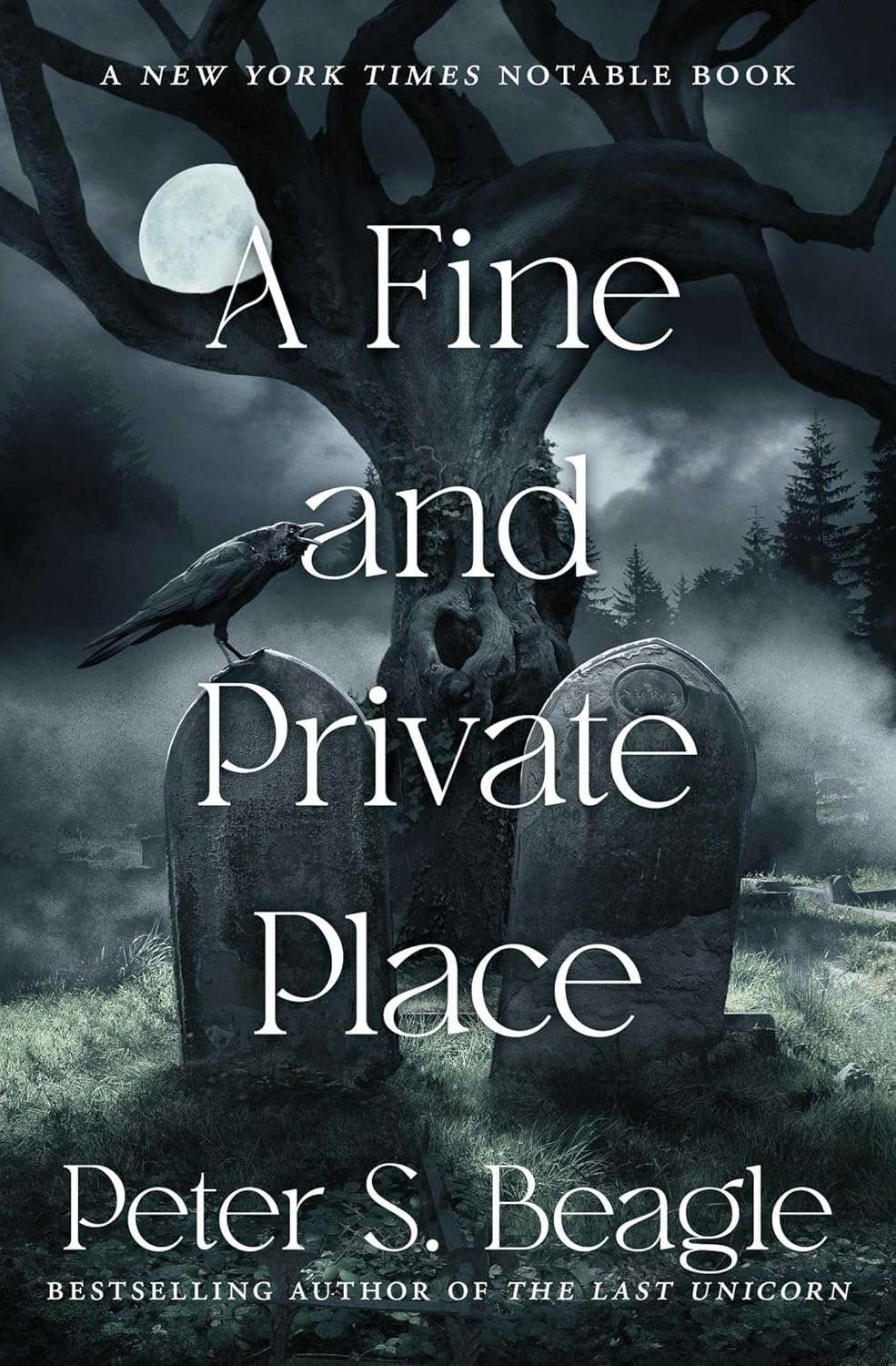 A Fine and Private Place poster
