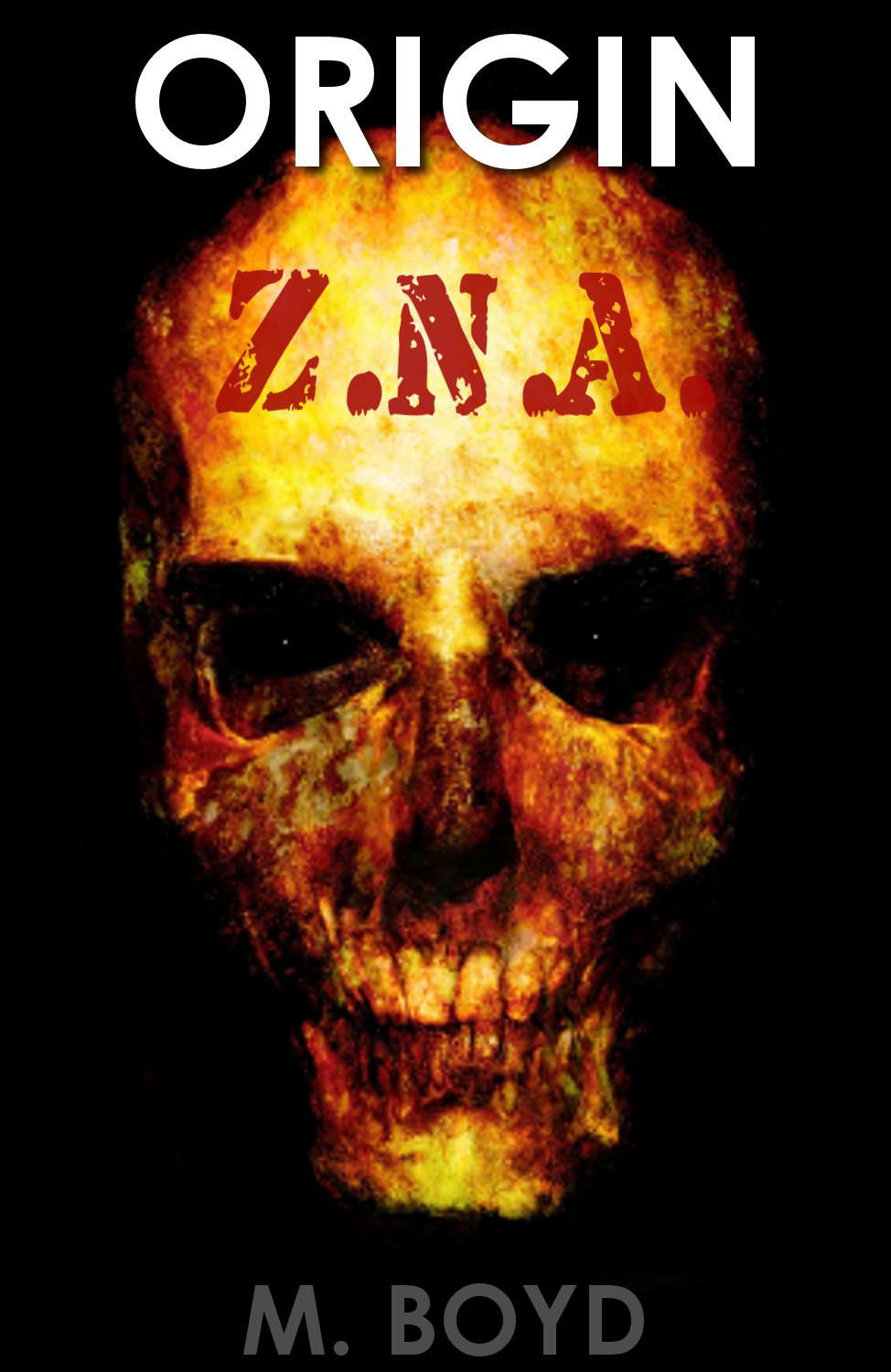 Z.N.A. - Origin poster