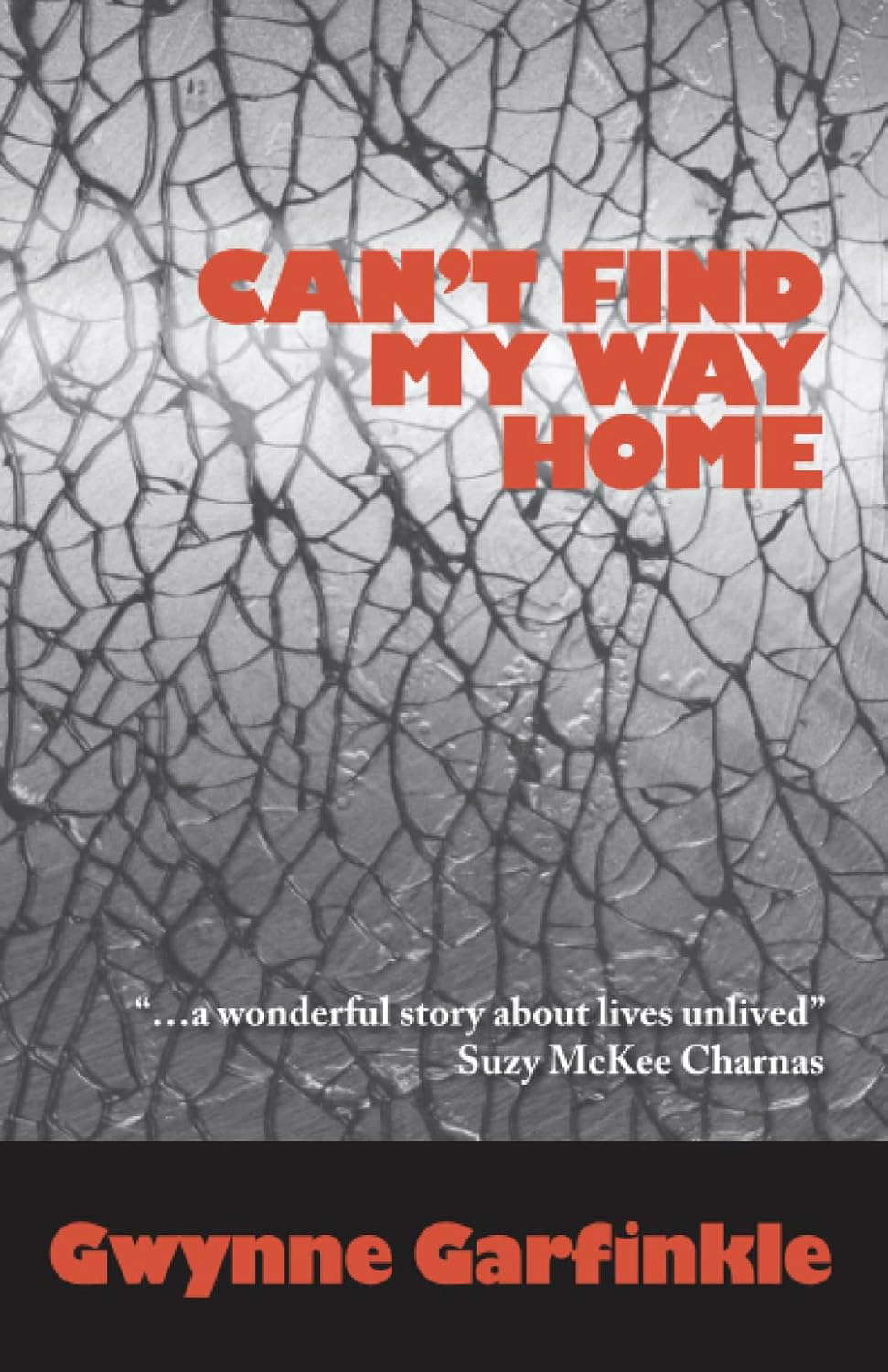 Can't Find My Way Home poster