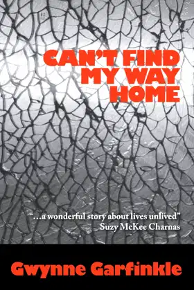 Can't Find My Way Home poster