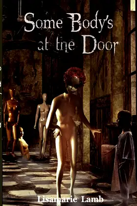 Some Body's At The Door poster