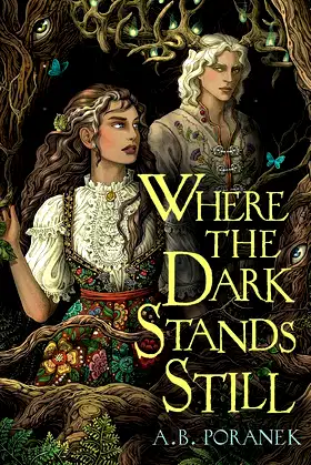 Where the Dark Stands Still poster