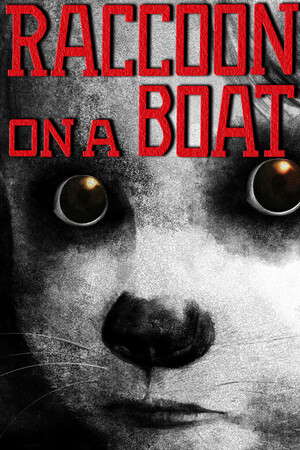 Raccoon on a boat poster