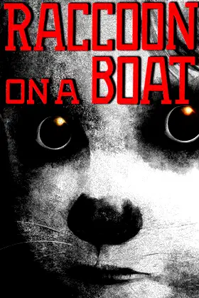 Raccoon on a boat poster