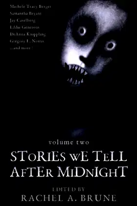 Stories We Tell After Midnight poster