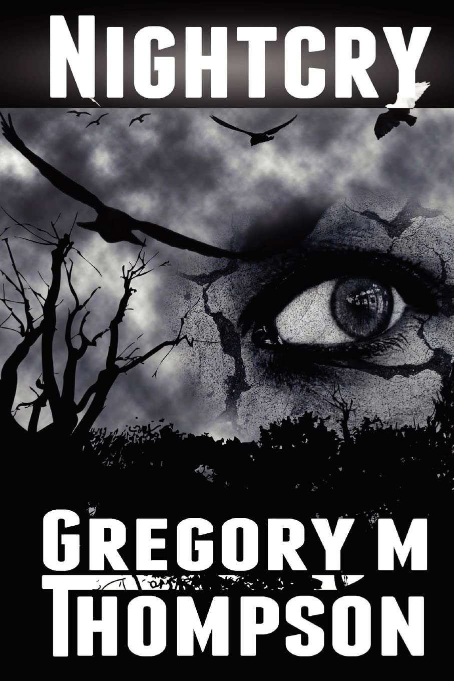 Nightcry poster