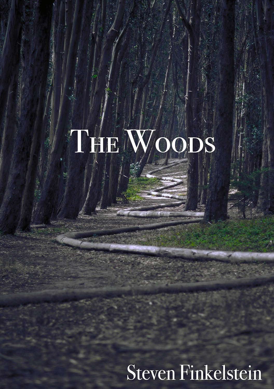 The Woods poster