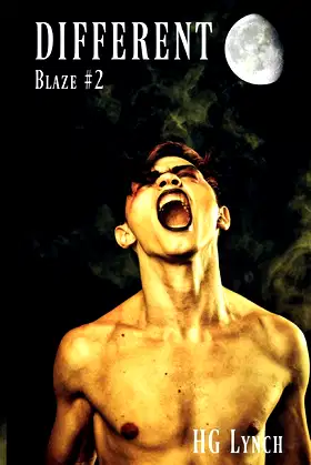 Different (The Blaze Trilogy) poster