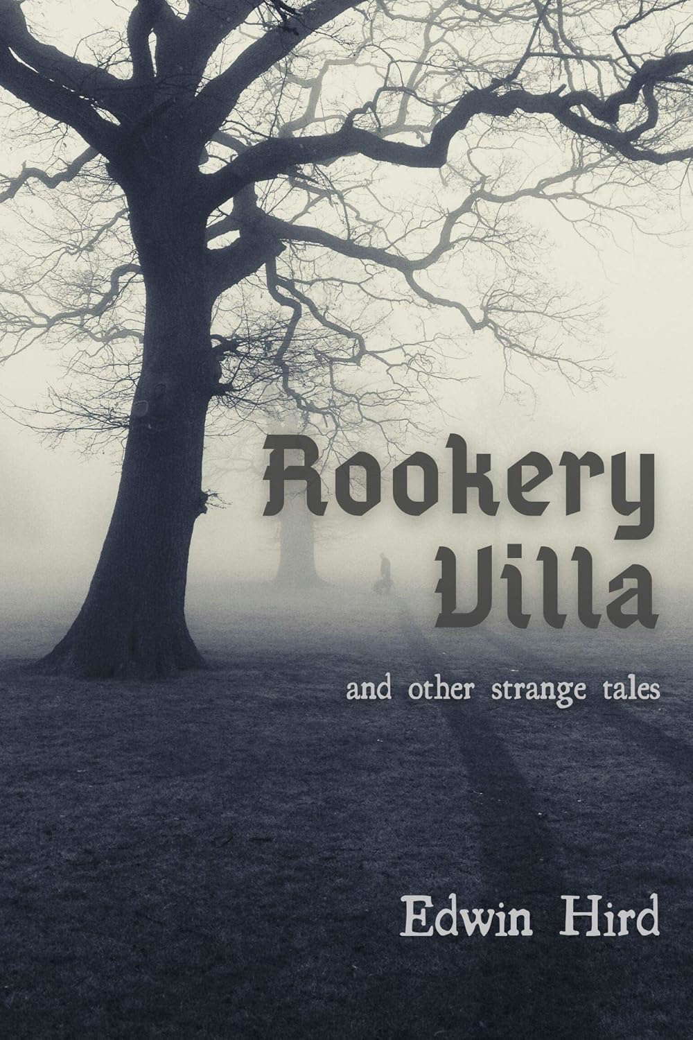 Rookery Villa and other strange tales poster