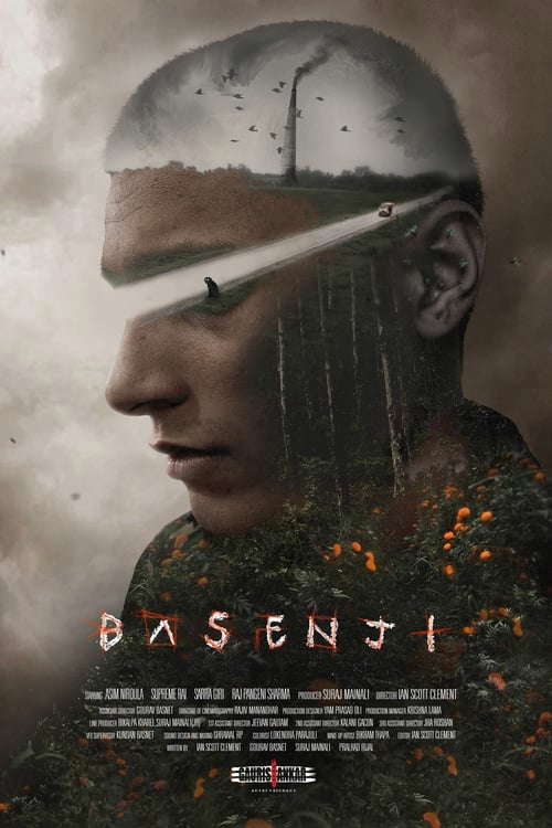 Basenji poster