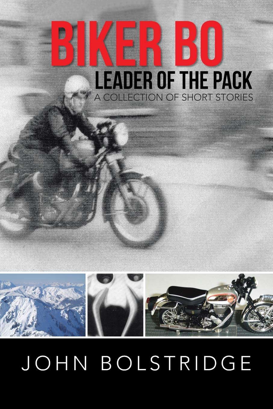Biker Bo Leader of the Pack: A Collection of Short Stories poster