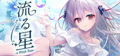 流る星 -a wish star- capsule